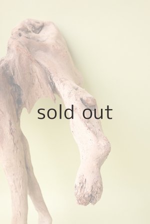 画像7: 流木根（中型）