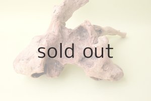 画像9: 流木根（中型）