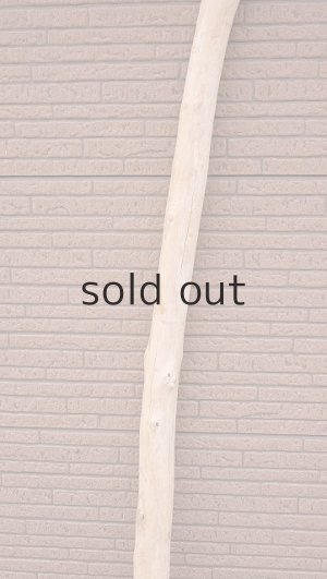 画像3: 棒流木・長尺