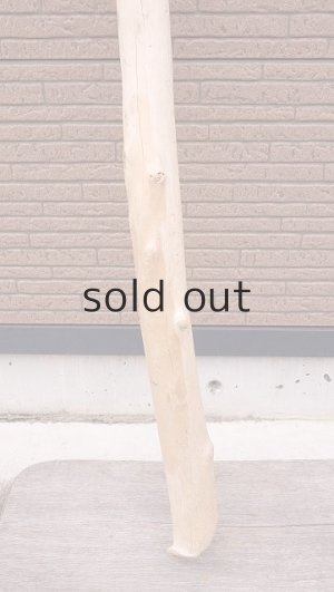 画像2: 棒流木・長尺