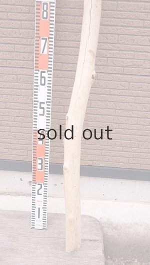 画像5: 棒流木・長尺