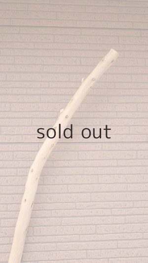 画像5: 棒流木・長尺