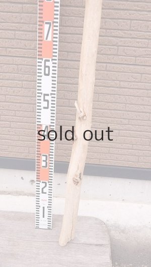 画像6: 棒流木・長尺