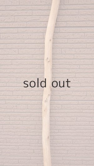 画像3: 棒流木・長尺