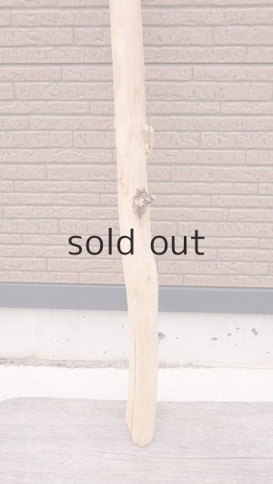 画像2: 棒流木・長尺