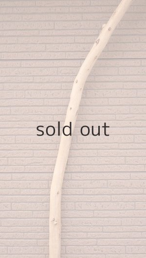 画像4: 棒流木・長尺