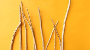 画像4: 棒流木セット