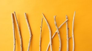 画像4: 棒流木セット