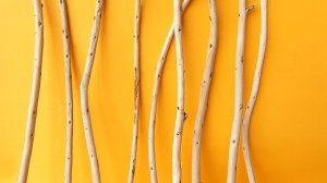 画像3: 棒流木セット