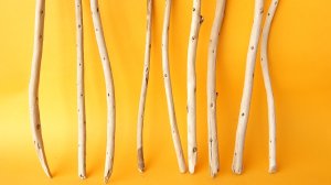 画像2: 棒流木セット