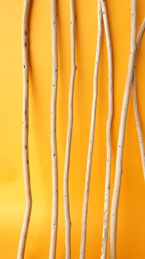 画像5: 棒流木セット