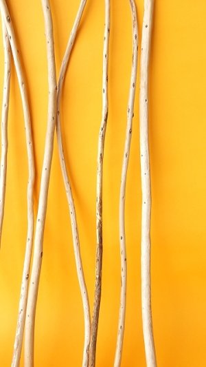 画像6: 棒流木セット