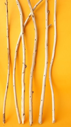 画像6: 棒流木セット