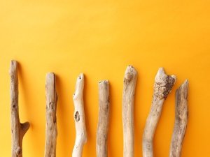 画像5: 小枝流木セット