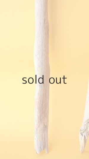 画像5: 小枝流木セット