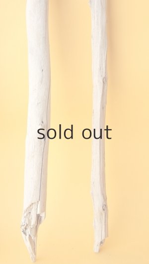 画像6: 小枝流木セット