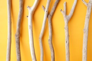 画像3: 小枝流木セット