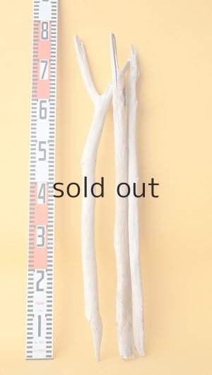 画像7: 小枝流木セット