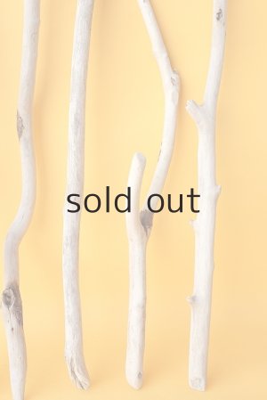 画像6: 小枝流木セット