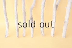 画像2: 小枝流木セット