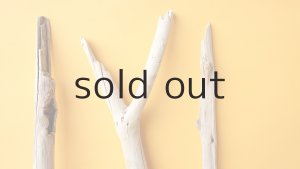 画像4: 小枝流木セット