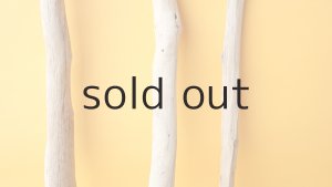 画像3: 小枝流木セット