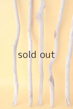 画像5: 小枝流木セット