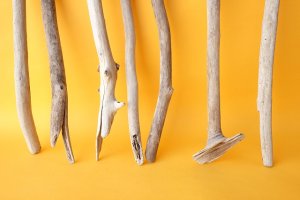 画像2: 小枝流木セット