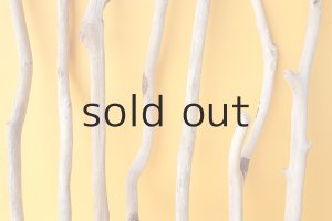 画像3: 小枝流木セット