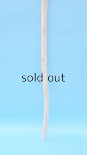 画像2: 棒流木・長尺