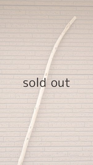 画像4: 棒流木・長尺