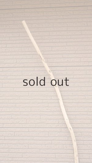 画像4: 棒流木・長尺