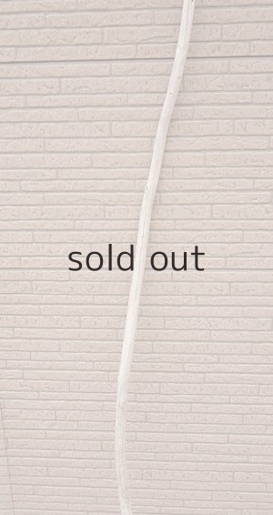 画像3: 棒流木・長尺