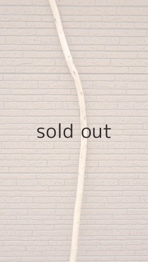 画像3: 棒流木・長尺