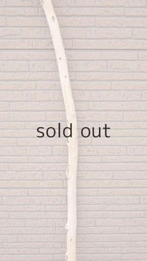 画像3: 棒流木・長尺