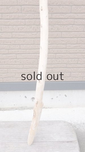 画像2: 棒流木・長尺