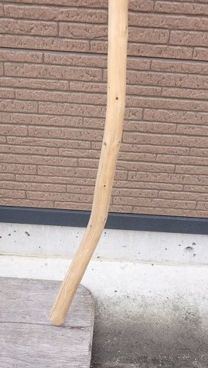 画像5: 棒流木・長尺