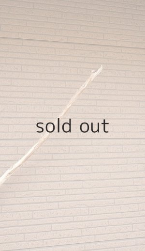 画像5: 棒流木・長尺