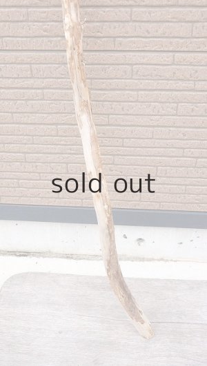 画像2: 棒流木・長尺