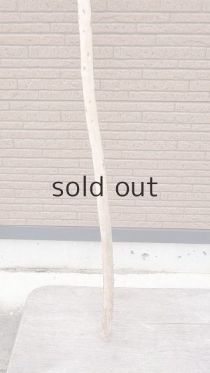 画像2: 棒流木・長尺