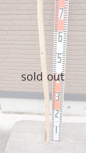 画像5: 棒流木・長尺