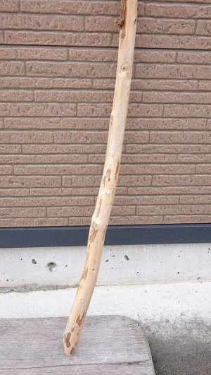 画像2: 棒流木・長尺