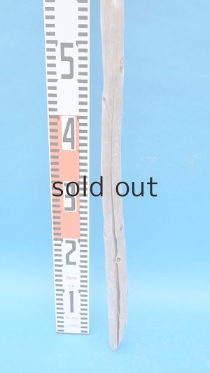 画像5: 棒流木・長尺