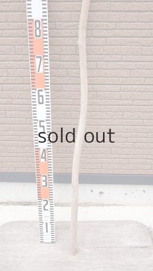 画像5: 棒流木・長尺