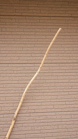 画像4: 棒流木・長尺