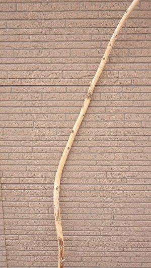 画像3: 棒流木・長尺