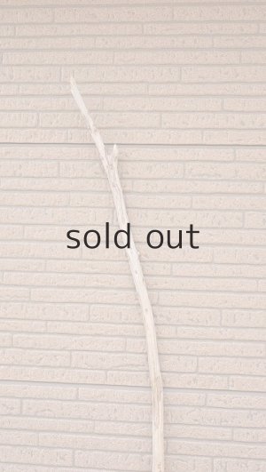 画像4: 棒流木・長尺