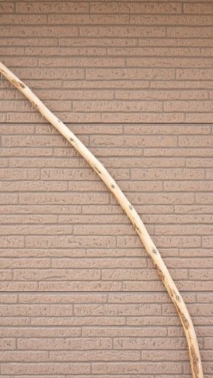 画像4: 棒流木・長尺