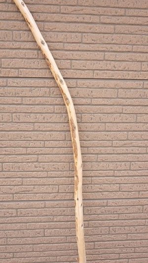 画像3: 棒流木・長尺