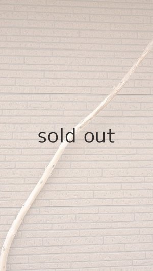 画像4: 棒流木・長尺